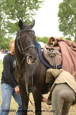 20080525_pozegnanie_bretanii (5)